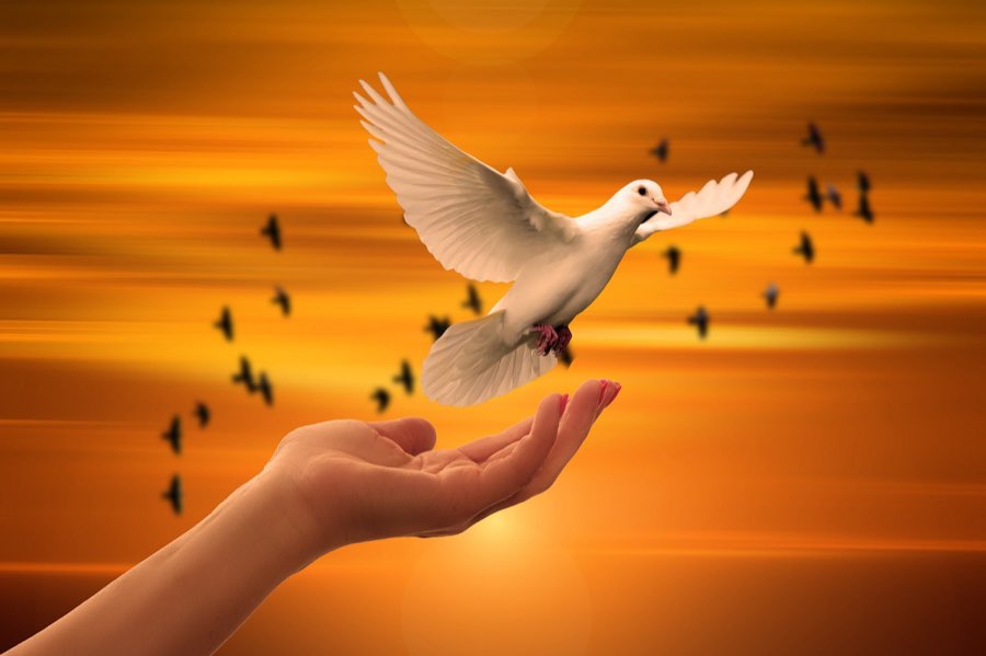 Alibaba’s Token Hub unveils “Happy Oyster,” an AI world model that builds 3D environments, films and games